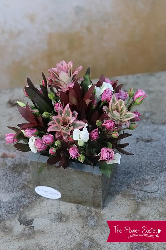 Post Slideshow Image