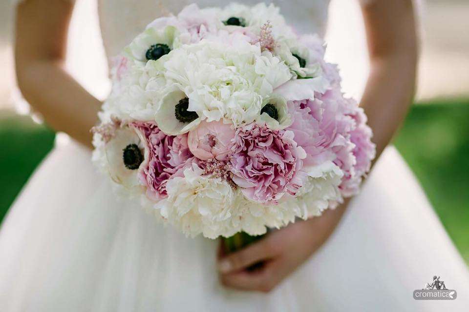 Post Slideshow Image