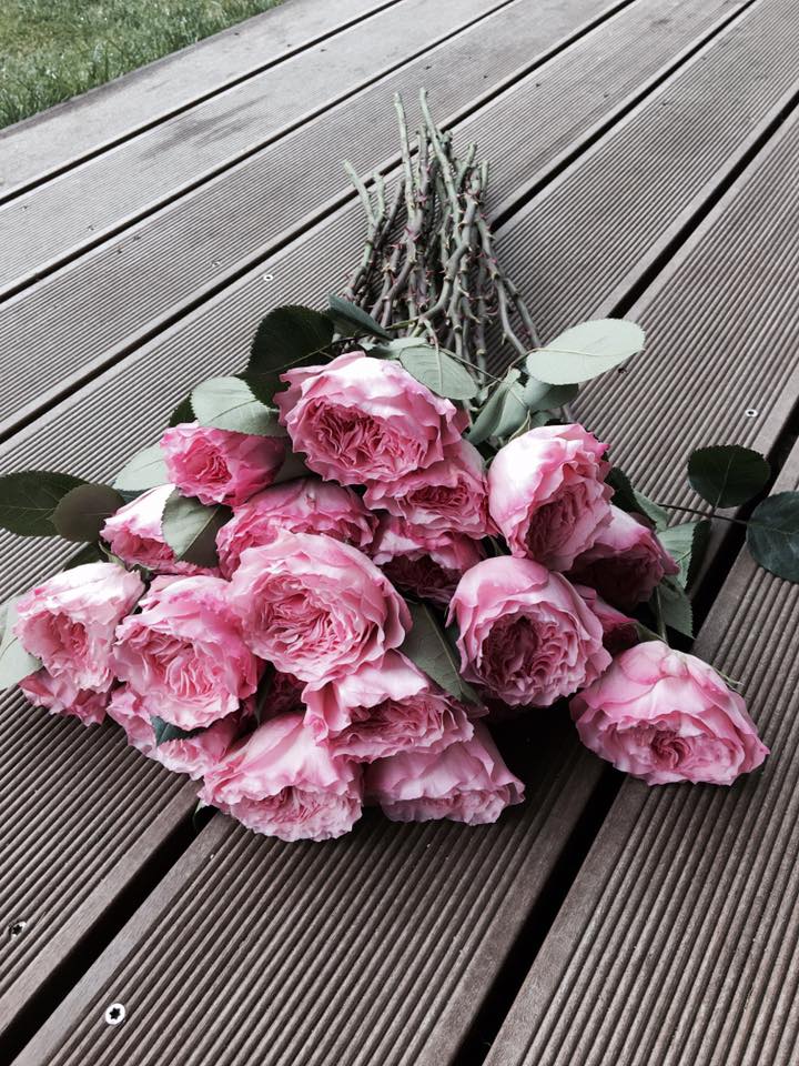 Post Slideshow Image