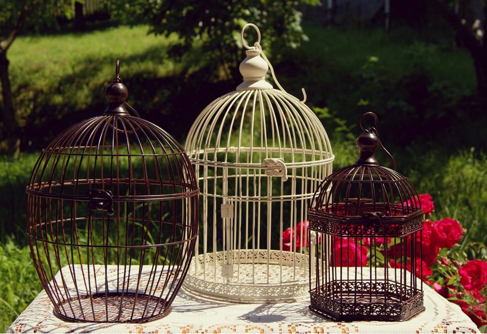 Post Slideshow Image