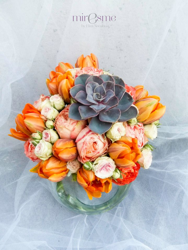 Post Slideshow Image