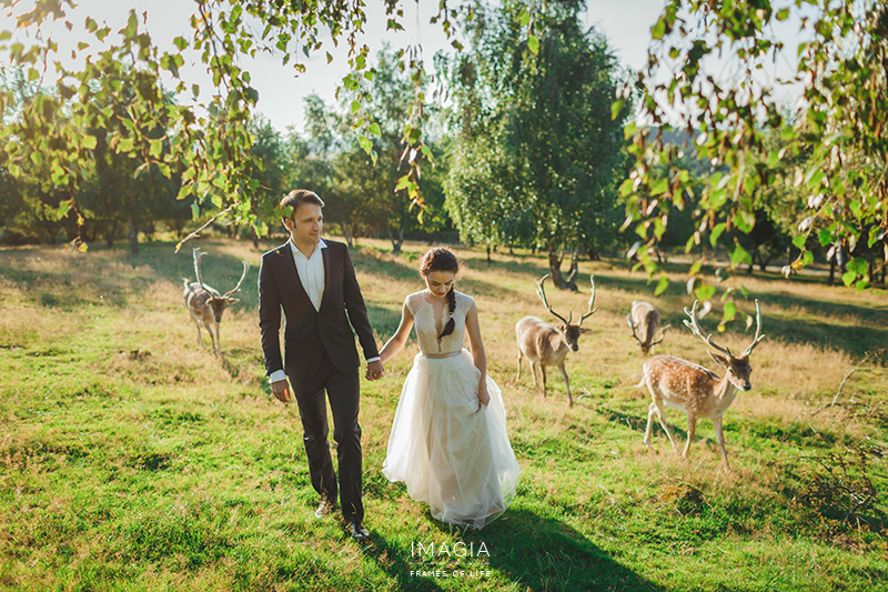 Post Slideshow Image